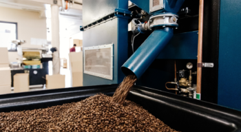 blue coffee roasting machine pouring out roasted beans